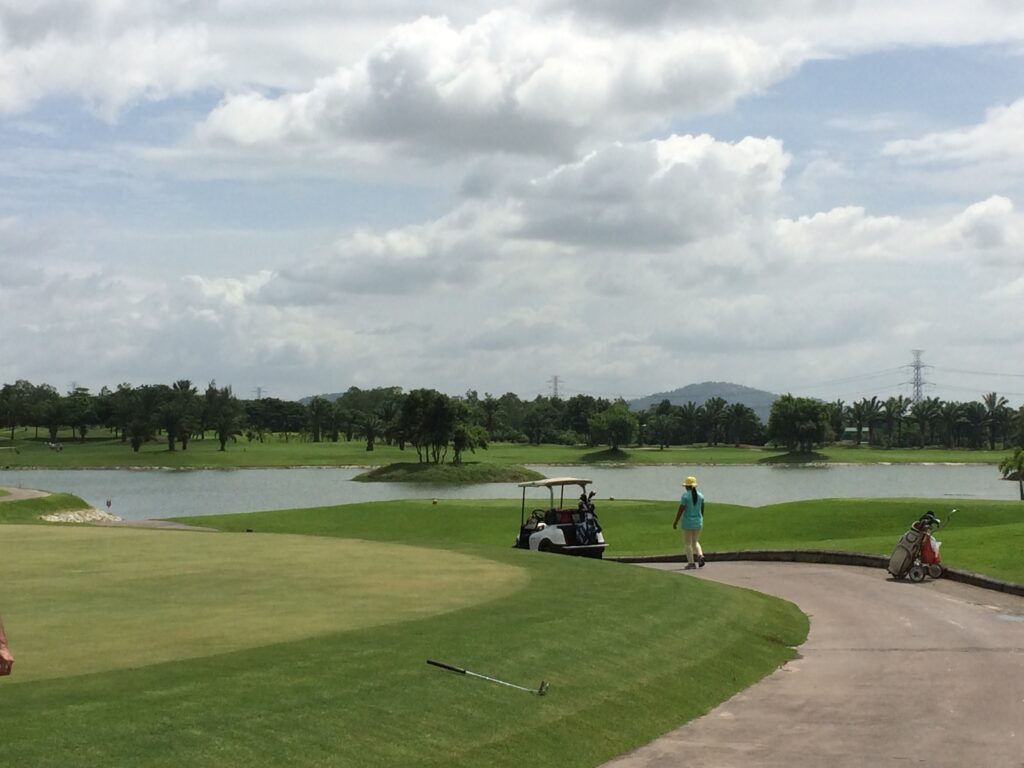Golf cart andthe green